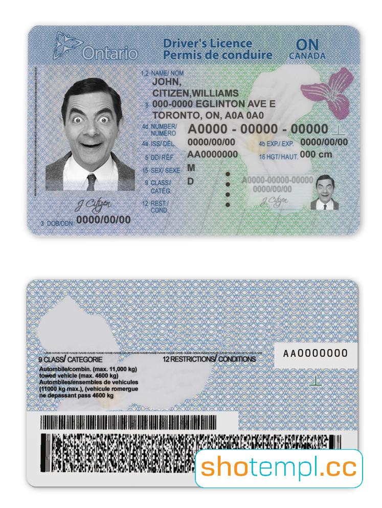 Canada Ontario Driver License PSD Template